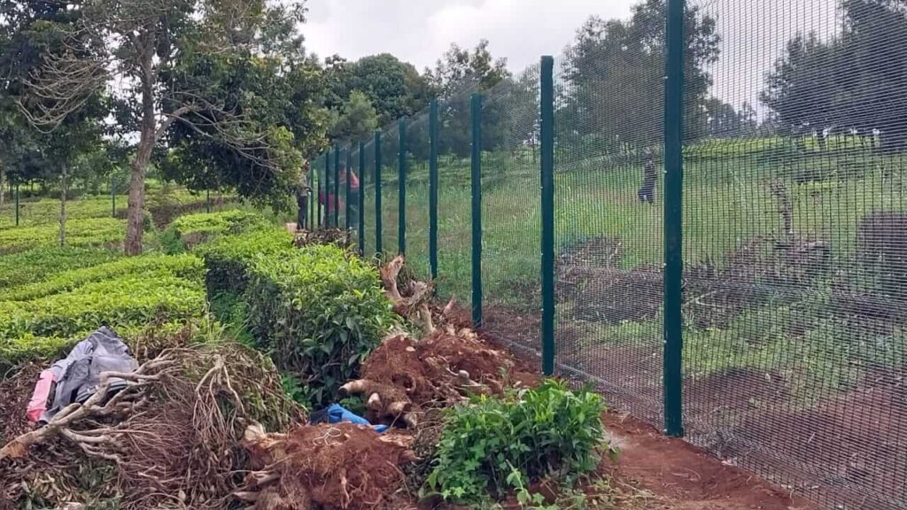 Anti Climb clear view fence prices in Kenya